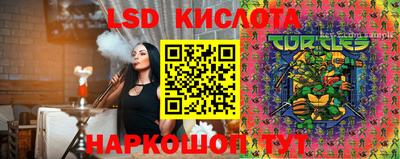 гашик Нарткала