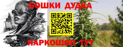 гашик Нарткала